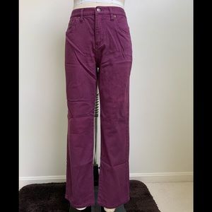 Chadwicks Berry Denim Stretch Jeans Pants-Cotton Spandex-Tummy Control Panel-6P